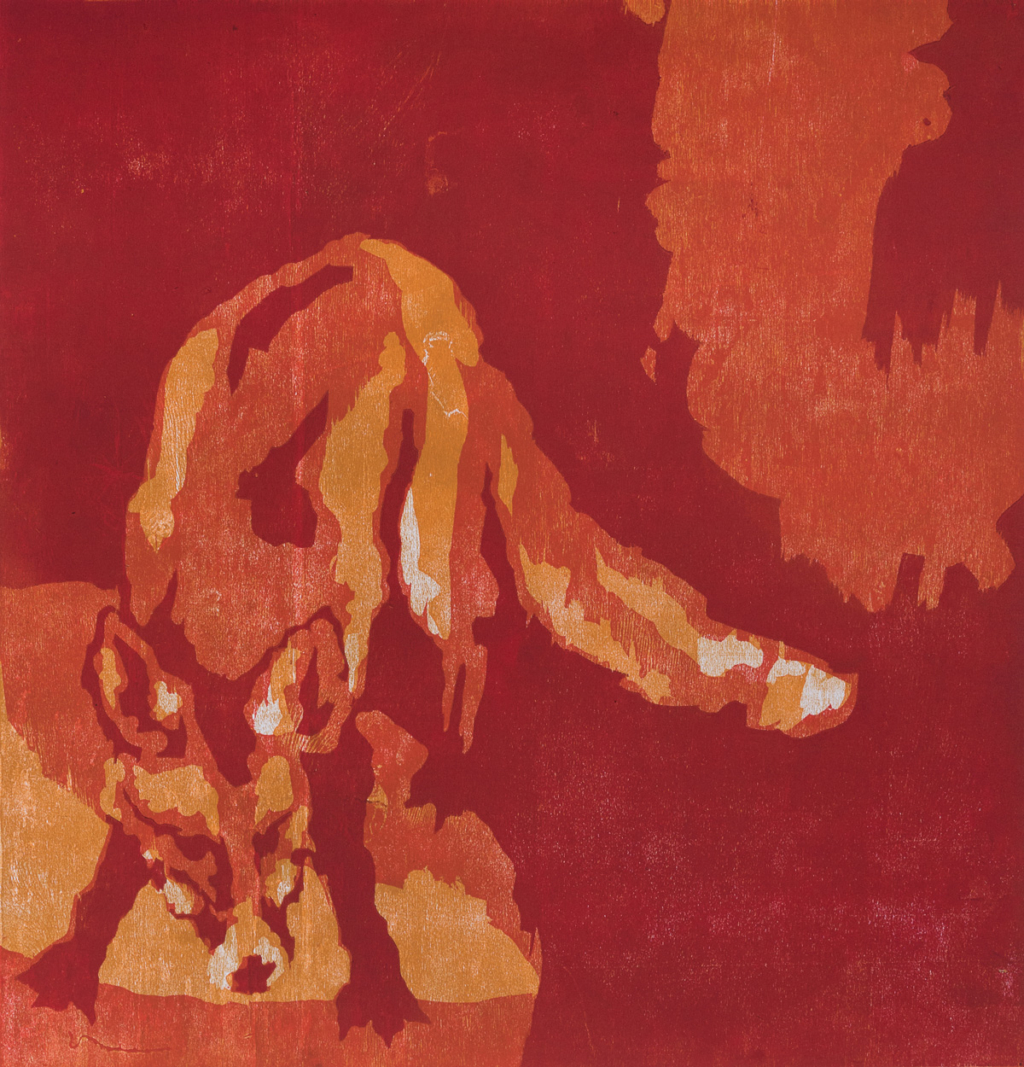 UMBERTO GIOVANNINI Urban foxes
